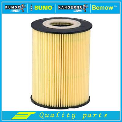 Auto Oil Filter 11427834734/11427840594 for Series 5 (E60) Series 6 (E63) Series 6 Convertible (E64)