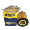 Hot Sale Hengst Filters E203H04 D67