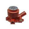 David Brown 885Q water pump K952714