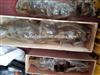 L/C west union T/T standard size crank function for sale