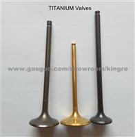 Titanium Engine Valves