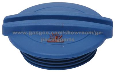 Power Steering Pumps OEM NO. 32416760036 For BMW