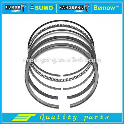 Auto Piston Ring Set 0810960000 For Series 8 (E31) Series 7 (E38) Series X5 (E53)