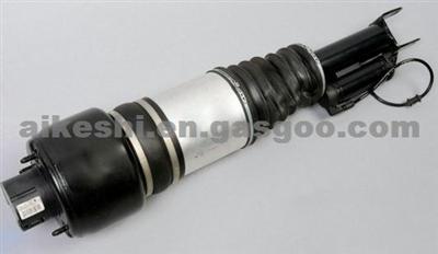 Shock Absorber 2113206113