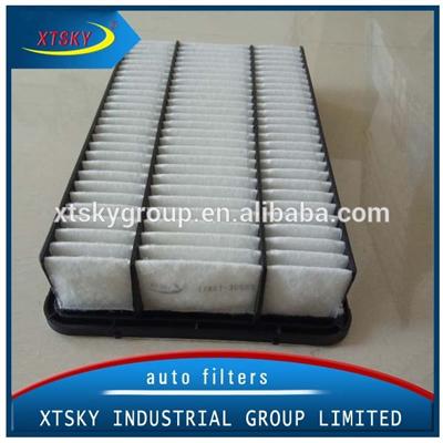 high quality hepa Air filter 17801-30060