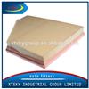 Made in China Car PU Air Filter 13717548897