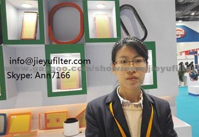 Auto Filter Manufacturer In China