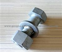 10.9 Hex Flange Tower Bolt