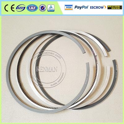 NTA855 3 piston rings 4089811