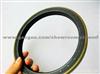 90031015 Back Wheel Hub Oil Seal 127-160-15.5/17.5