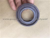 Hydraulic Pump Oil Seal CFW Type Babsl 28.575*50.8*6.35