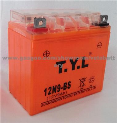 China Golden Supplier 12v Agm Battery