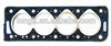 Hot Sale Head Gasket for Peugeot 205/ 305/ 309/ 405