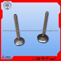 Deutz Inlet/Exhaust Valve