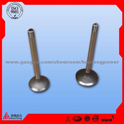 Deutz Inlet/Exhaust Valve