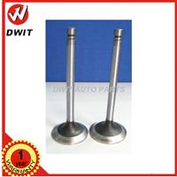 China 6n9915 6n9916 Engine Valve for Diesel 3304 3306