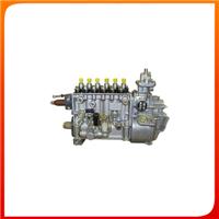 China Land 22100-17500 Diesel Injection Pump for Land cruiser HZJ75 2210017500