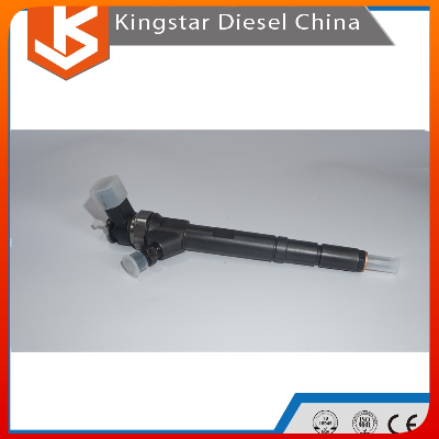 China Bosch High Quality Diesel Engine Common Rail Injector 0445110080/ 0 445 110 080