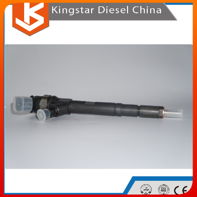 China Top Quality Diesel Engine Common Rail Diesel Injector 0445110161/0 445 110 161