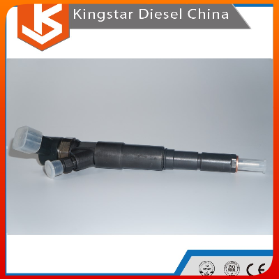 China Bosch High Quality Diesel Engine Common Rail Diesel Injector 0445110029/ 0 445 110 029