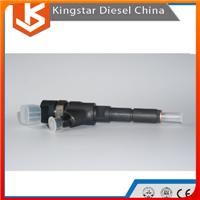 China Bosch High Quality Diesel Common Rail Injector 0445110076/ 0 445 110 076