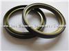 Magnetic Ring 82000243735 For Renault