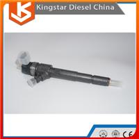 Bosch High Performance Diesel Engine Common Rail Diesel Injector 0445110287/0 445 110 287