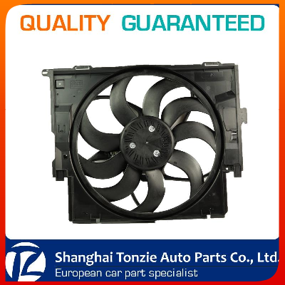China Bmw Oe Cooling Fan 17427640509/ 17428621191/ 17428641963/ 17428621191 for Bmw F20/ F21/ F22/ F30/ F31/ F34/ F32/ F35/ F36