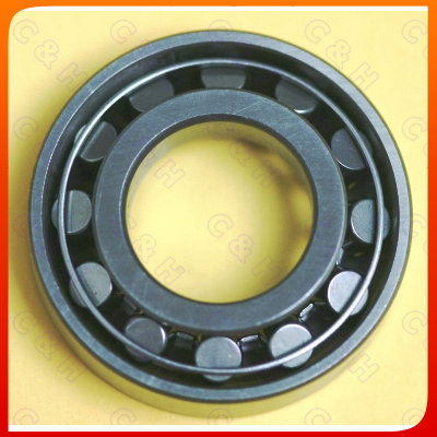 Steering bearings - 509043