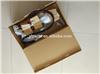 WFX500010 high quality fuel pump 4.4 Petrol V8 for UK car RangeRover 2002-2009 car fuel system pump for sale