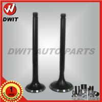 
hot sale PD6 engine valve for truck diesel engine
