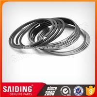 China Saiding Piston Ring for E25 12033-db010 Zd30ddti 2007