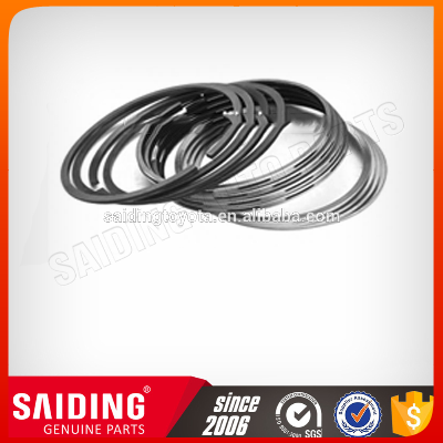 China Saiding Piston Ring for E25 12036-5v110 Ka24de 2005-2006