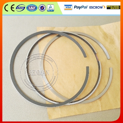 China Nh/ Nt 855, Nt495, Nt743 Piston Ring Set 4089489 3803358 3804500