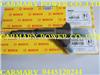 BOSCH Common Rail Injector 0445120244, 0445120150 For WEICHAI WP6 13024966