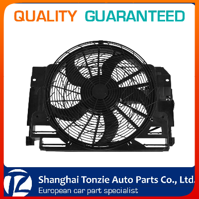 China BMW Engine Cooling Fan 64546921381/64546921940/64546919051/64506908124/64548380573 For BMW E53