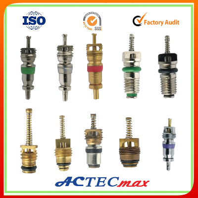 Prenium quality competitive price ac fitting ,air conditioning fitting, valve core