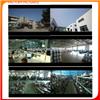 China 119005-35151 Enine Oil Filter