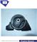 Engine Motor Mount Rubber Engine Mount For Sunny OEM:11320-4M400