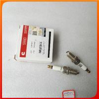 6CT Gas Engine spark plug 4089085 3800959