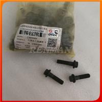China 6CT Hexagon Flange Head Cap Screw 3903464