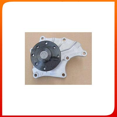 Water Pump 1307100-E09 For Great Wall