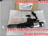 
High Quality common rail injector 095000-6753 /295050-1170 for HINO
