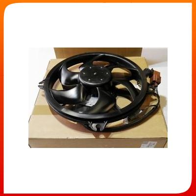 Fan For Peugeot 407
