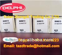 
DELPHI Original CR Injector EJBR04601D / SSANGYONG A6650170321/ 2402FF06W16 /6650170321
