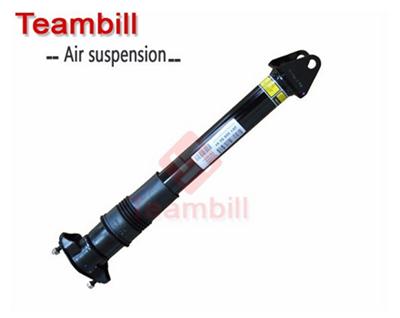 Auto parts Rear Shock Absorber for Mercedes W251 2513201931 / 251 320 19 31