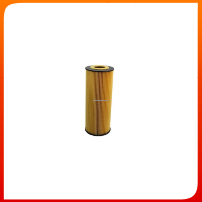 China Man Oil Filter Oe#5001846993 for Man with Good Price