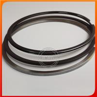 6C8.3 Piston Ring Kit 4309114