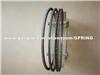 FIAT Piston Ring 8260.01