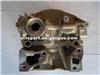 Cylinder Head For PEUGEOT DV6